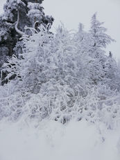 2021 01 06 photo de neige sur le Mont Baury