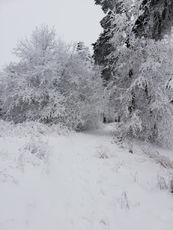 2021 01 06  photo de neige sur le Mont Baury