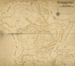 La-Foraine-d-allegre-cadastre-napoleonien-1823-assemblage