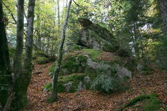 La roche Martine